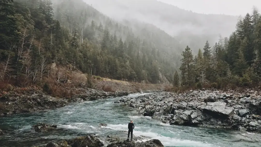 Un río de aguas claras corre entre piedras y montañas con pinos.